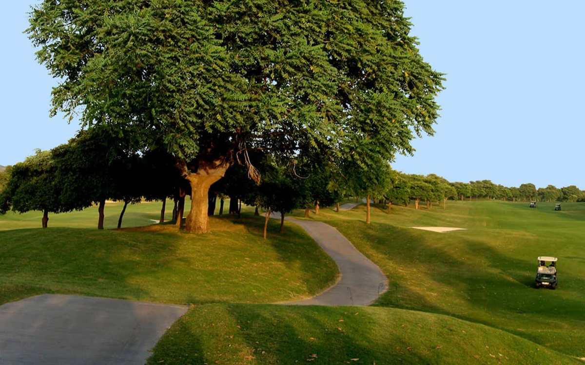 Fairway ombragé par un grand arbre en Inde
