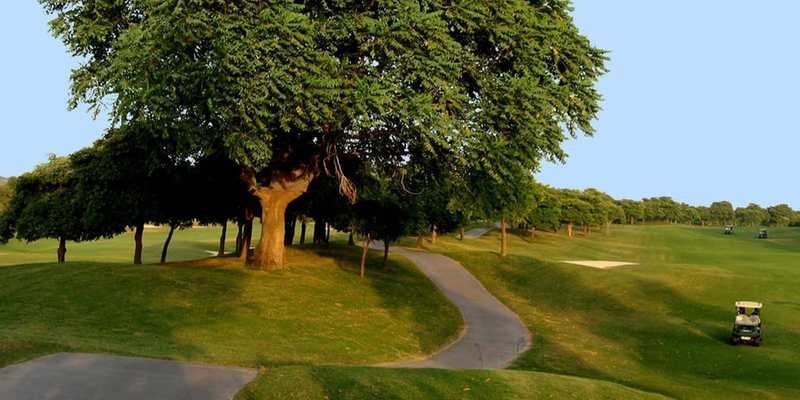 Fairway ombragé par un grand arbre en Inde