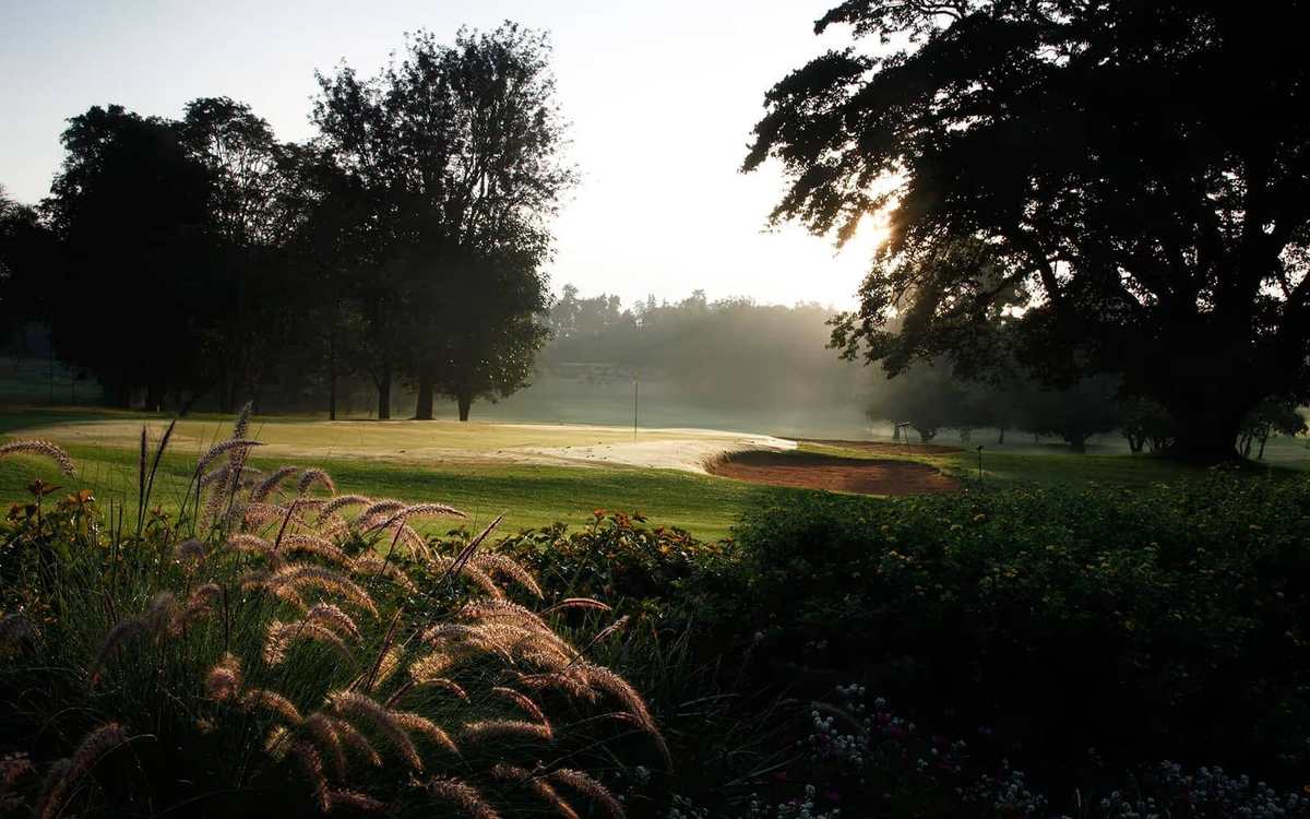 Parcours de golf ombragé dans la lumière du matin au Kenya