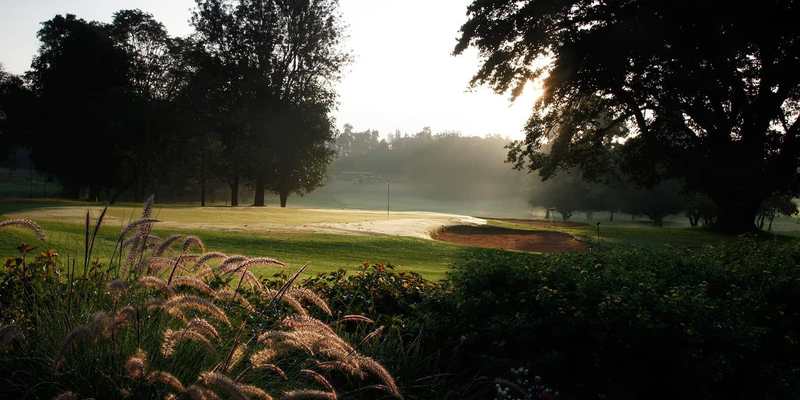 Parcours de golf ombragé dans la lumière du matin au Kenya