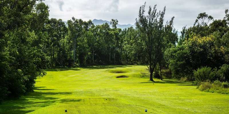 Fairway bordé d’arbres tropicaux à La Réunion