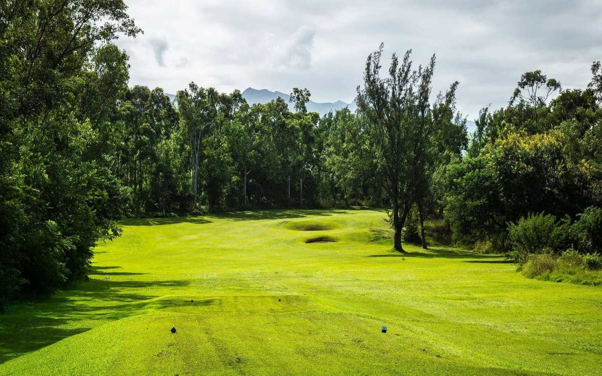 Fairway bordé d’arbres tropicaux à La Réunion